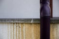 damaged gutter and damp patches on the house wall Royalty Free Stock Photo