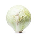 Damaged head of cabbage