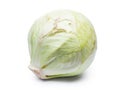 Damaged head of cabbage