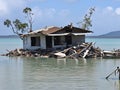 damaged house sinking in to the water in mangrove forest, collapsed old house in the water