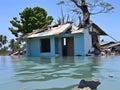 damaged house sinking in to the water in mangrove forest, collapsed old house in the water