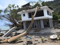 damaged house sinking in to the water in mangrove forest, collapsed old house in the water