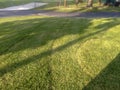 Damaged lawn cut too low