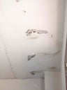 Damaged paint ceiling,