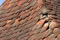 Damaged roof Royalty Free Stock Photo