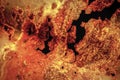 A damaged and rusty corrugated steel abstract background picture Royalty Free Stock Photo