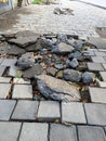 Damaged Sidewalk with Broken Tiles and Debris Royalty Free Stock Photo