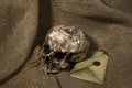 Damaged skull with a letter, with a burlap background