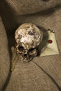 Damaged skull with a letter, with a burlap background