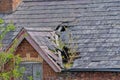 Damaged Slate Roof Tiles On A Pitched Roof