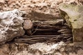 Damaged stone wall with a wooden core and a vintage metal nail