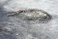 Damaged Tarmac Road Surface Royalty Free Stock Photo