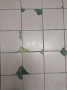 Damaged Tiled Floor with Green Patch Royalty Free Stock Photo