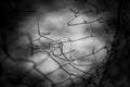 Damaged torn wire fence mesh, macro photo, soft art selective focus Royalty Free Stock Photo