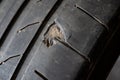 Damaged tyre cord closeup view Royalty Free Stock Photo