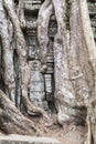 Damaged wall at Ta Prohm Royalty Free Stock Photo