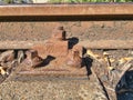 Damaged wooden railway sleeper. No train passed for a long time Royalty Free Stock Photo