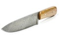 Damascus kitchen knife Royalty Free Stock Photo