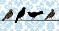Damask Birds Blue Royalty Free Stock Photo