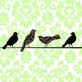 Damask Birds Green Royalty Free Stock Photo