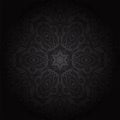 Damask seamless floral pattern. Royal wallpaper. Flowers on a black background. Royalty Free Stock Photo