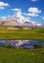 Damavand peak mirrored in a mountain pool