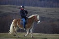 Dambovita Runcu October 19, 2021, tourists relaxing on horseback in the Leaota Mountains Royalty Free Stock Photo