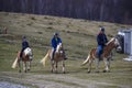 Dambovita Runcu October 19, 2021, tourists relaxing on horseback in the Leaota Mountains Royalty Free Stock Photo