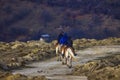 Dambovita Runcu October 19, 2021, tourists relaxing on horseback in the Leaota Mountains Royalty Free Stock Photo