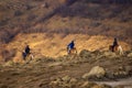 Dambovita Runcu October 19, 2021, tourists relaxing on horseback in the Leaota Mountains Royalty Free Stock Photo