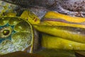 DAMBULA CAVES - Dambula golden temple , Sri lanka