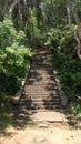 Dambulla cave temple road and forest. Royalty Free Stock Photo