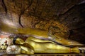 Dambulla cave temple in Sri Lanka