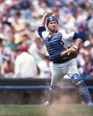 Damon Berryhill of the Chicago Cubs Royalty Free Stock Photo