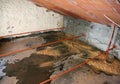 serious problems of moisture and seepage from the roof due to th Royalty Free Stock Photo