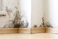 Damp buildings damaged by black mold and fungus, dampness or water.