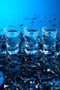 Damp glasses of vodka with ice on a black reflective background Royalty Free Stock Photo