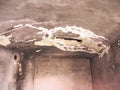 damp moisture on wall and ceiling Royalty Free Stock Photo