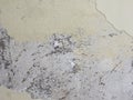 Damp moisture on wall Royalty Free Stock Photo