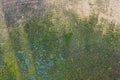 Damp moldy texture old concrete wall Royalty Free Stock Photo