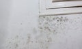 Damp patches on a wall Royalty Free Stock Photo