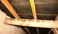 Attic Damp Royalty Free Stock Photo