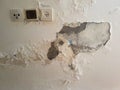 Dampness on peeling wall. Domestic disaster.