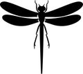 damselfly Black Silhouette Generative Ai