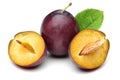 Damson plums with leaves on white background Royalty Free Stock Photo