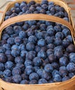 Damson Plums Royalty Free Stock Photo