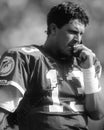 Dan Marino Royalty Free Stock Photo