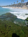 Dana point California Beaches