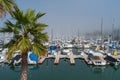 Dana Point Marina Boats Royalty Free Stock Photo