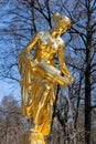 Danaide fountain in the lower park of Peterhof, gilded sculpture close-up. Russia, Peterhof, 21.04.2021
